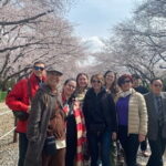 Ultimate Seoul Experience in 2 days - Day 1: Imperial History, Traditional Charm, and City Views
