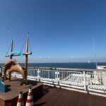 Undersea Tunnel in Tokyo Bay Aqualine - Who is This Tour Best For?
