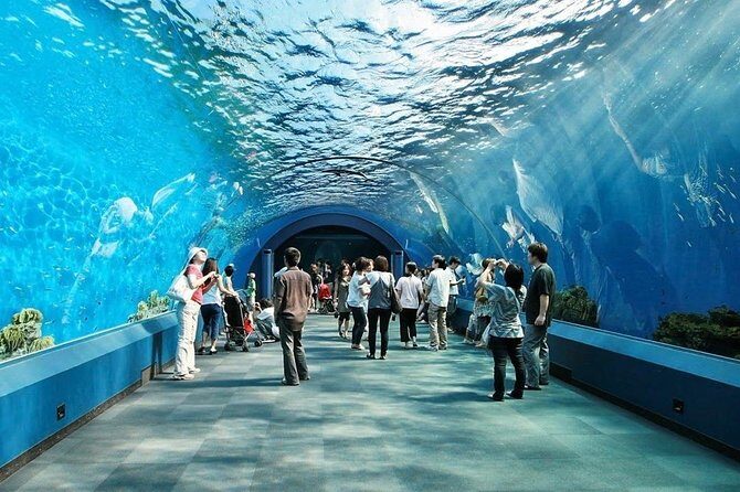Underwater World at Pattaya Admission Ticket - Practical Tips for Your Visit