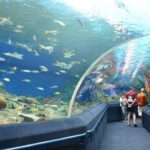 Underwater World in Pattaya Admission Ticket - The Sum Up