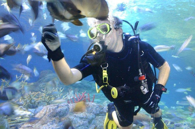 Underwater World in Pattaya Admission Ticket - Who Should Consider This Tour?
