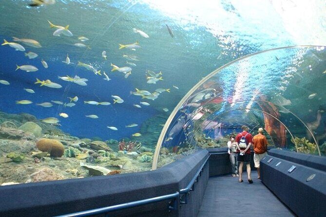 Underwater World in Pattaya Admission Ticket - The Sum Up