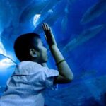 Underwater World Pattaya (Ticket Only) - Key Points