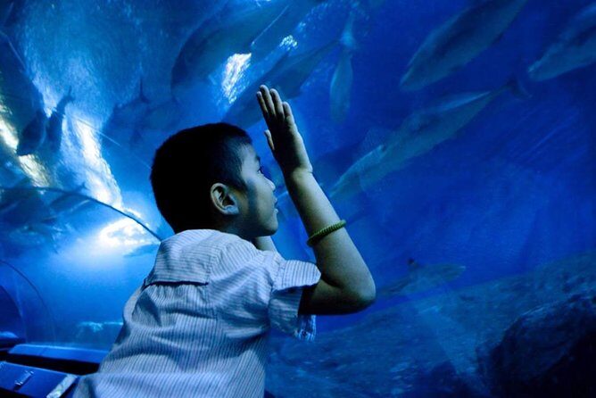 Underwater World Pattaya (Ticket Only) - Key Points