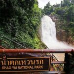 UNESCO World Heritage Site : Khao Yai National Park Tour - Exploring the Day: From Bangkok to Khao Yai