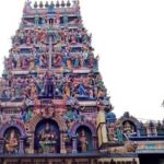 Unexplored Chennai tour of mysterious temple carvings on science & other gems - Who is this tour best suited for?