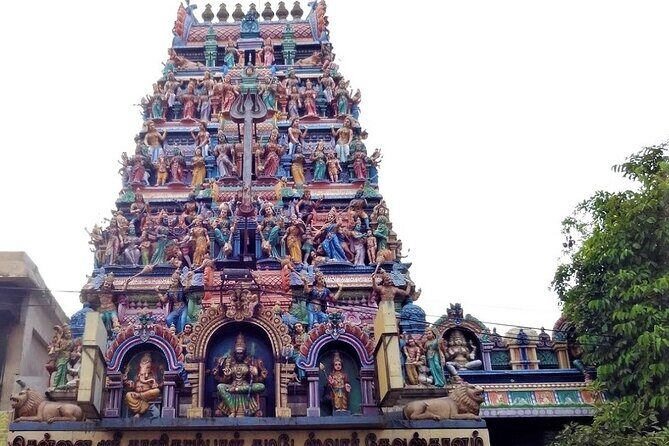 Unexplored Chennai tour of mysterious temple carvings on science & other gems - Who is this tour best suited for?