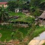 Unforgettable Trekking Experience 6 Hour in Sapa - Practicalities and Comfort