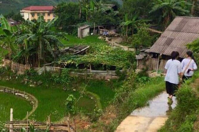 Unforgettable Trekking Experience 6 Hour in Sapa - Practicalities and Comfort