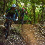 Urban Jungle Trail Cycling Tour from Colombo - The Kelaniya Temple: A Cultural Gem