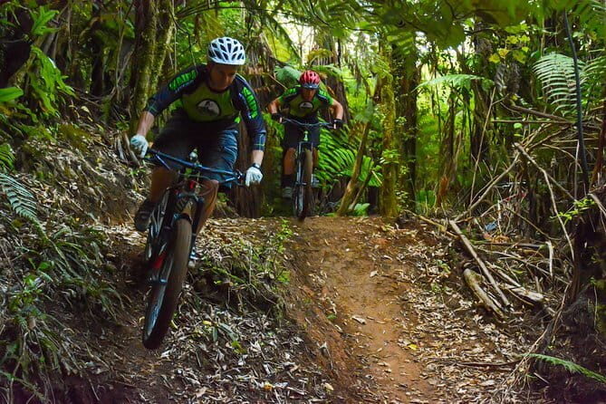 Urban Jungle Trail Cycling Tour from Colombo - The Kelaniya Temple: A Cultural Gem