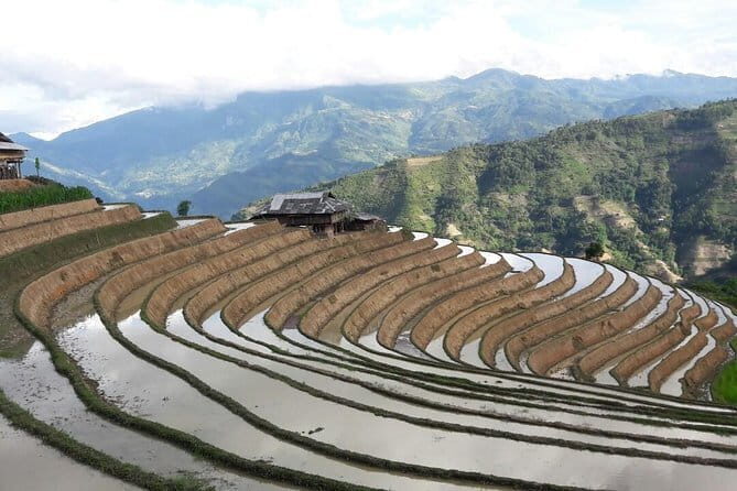 Vietnam North East Highlights Discovery 4Day Package Tour - What Travelers Say (Based on Reviews)