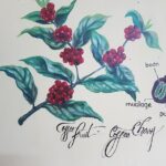 Vietnamese Coffee Master Class - FAQ