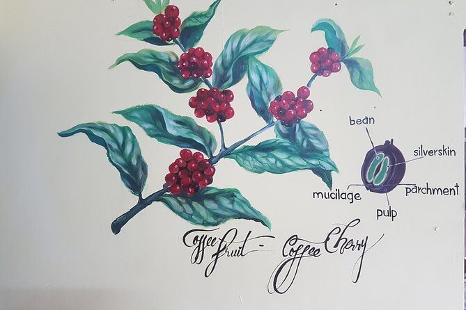 Vietnamese Coffee Master Class - FAQ