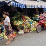 Vietnamese Culinary Immersion: Local Market and Home Cooking - Learning the Art of Vietnamese Cooking