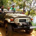 Village Tour by Classic Jeep from Habarana - The Experience from Reviews and Real Insights