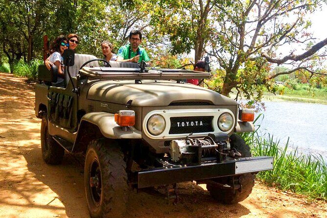 Village Tour by Classic Jeep from Habarana - The Experience from Reviews and Real Insights