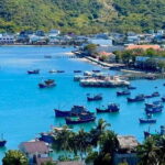 Vinh Hy Bay Snorkeling, Hidden Waterfall Discovery from Mui Ne - Vinh Hy Bay: The Main Event
