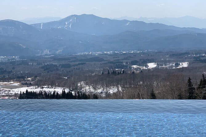VIP Exclusive Hidden Niigata Tour with Artisans and Farmers - Who Is This Tour Best For?