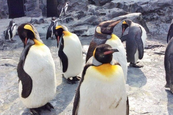 Visit Asahiyama Zoo, Fascinating Aoi-Ike from Sapporo - A Deep Dive Into the Itinerary and Experience