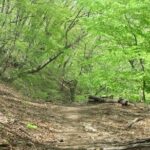 Visit the amazing views and power spots of ... - Authentic Insights from Past Visitors