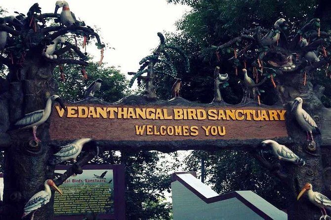 Visit to Vedanthangal Bird Sanctuary from Chennai - Final Thoughts: Is It Right for You?