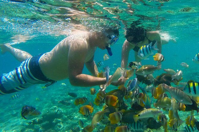 Visite L'île de Lombok: Pittoresque plage rose avec Guide Francophone - What to Expect From the Transportation and Equipment