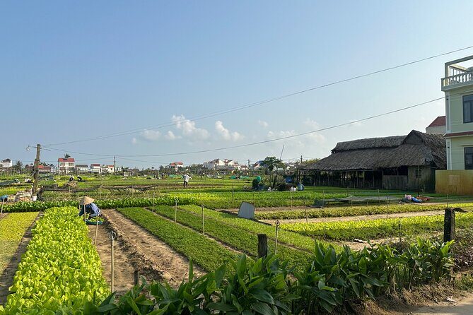 Visiting Hoi An from Danang by Car - Who Will Love This Tour?