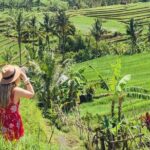 Voyage Prive à Tanah Lot, Jatiluwih, est Cascade Bali avec Un Guide Francophone - Authentic Insights from Reviews