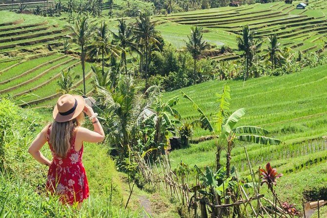 Voyage Prive à Tanah Lot, Jatiluwih, est Cascade Bali avec Un Guide Francophone - Authentic Insights from Reviews