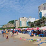 Vung Tau City Shore Excursion from Phu My Port - Who Is This Tour Best For?