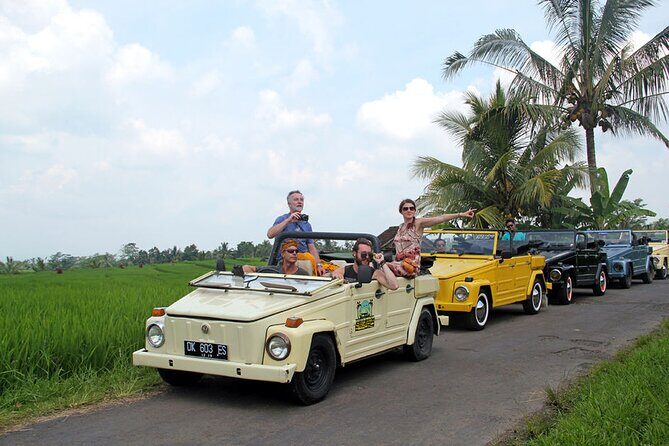 VW Safari Bali Tour: UNESCO World Heritage Sites in Bali - In-Depth Look at the Itinerary and Experience