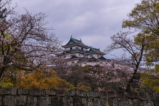 Wakayama Castle and Kuroshio Market 1 Day Tour - Why You Should Consider This Tour