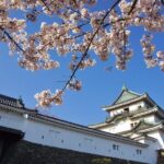Wakayama Castle Town Walking Tour - The Bottom Line