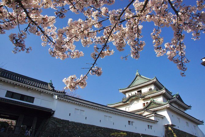 Wakayama Castle Town Walking Tour - The Bottom Line