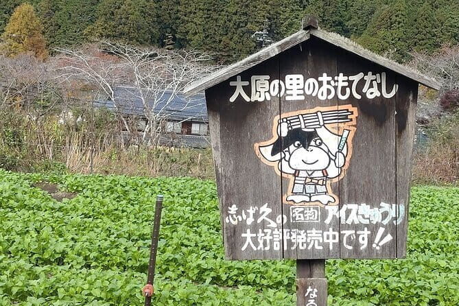 Walking Tour in Ohara Discover the Tranquil Beauty of Kyoto - Is It Worth It?