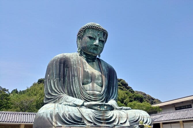 Walking Tour to Two Shrine and Temple in Kamakura - Who Should Consider This Tour?