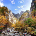 WEEKEND ONLY Autumn Mt. Seorak Round trip - What You Get for the Price