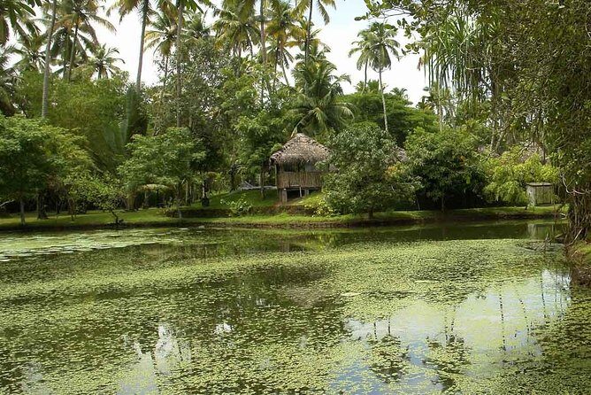 Weekend to Marari and Cochin - Final Thoughts