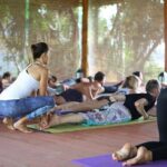 Wellness Rereat package with yoga,surfing at Talalla Sri Lanka 6 Nights /7 Days - Transportation and Practicalities