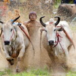 West Sumatra Private Tour from Padang By Private Car - Day 2: Exploring Bukittinggi and Surroundings