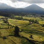 Western Bali Temples; Jatiluwih Rice Terraces & Water Temples Tour - Practical Details and What You Should Know