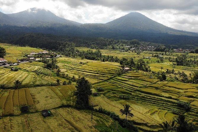 Western Bali Temples; Jatiluwih Rice Terraces & Water Temples Tour - Practical Details and What You Should Know