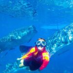 Whale Shark Swimming, Tumalog Falls and Kawasan Canyoneering - The Sum Up: Who Is This Tour For?