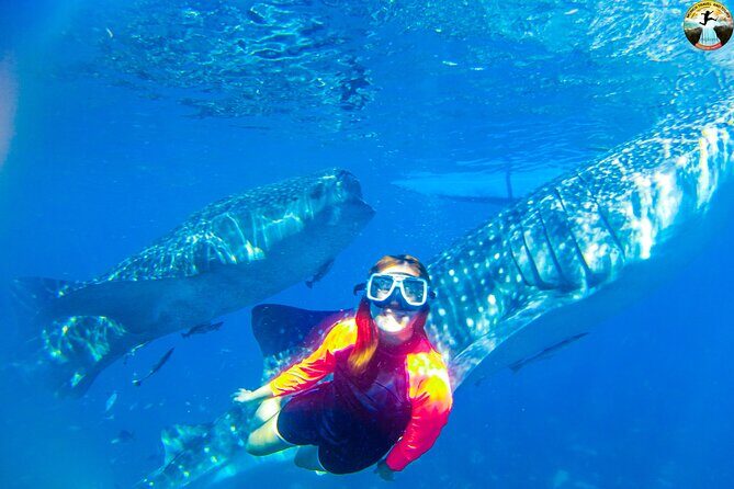 Whale Shark Swimming, Tumalog Falls and Kawasan Canyoneering - The Sum Up: Who Is This Tour For?