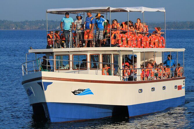 Whale Watching Boat Tour from Ahungalla - The Value of the Experience