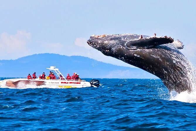 Whale Watching Boat Tour from Balapitiya - Final Thoughts