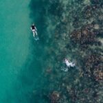 Whale Watching in Trincomalee by Catamaran cruise - What to Expect During the Experience