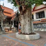 Wiang Kum Kam Temple Village Cycling Tour From Chiang Mai - What to Expect: Details and Practical Tips