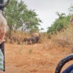 Wild Elephant Safari in Minneriya National Park - The Itinerary Breakdown